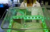 The latest US study found that green LED light source helps to relieve pain