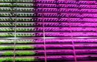 The world's largest LED lighting plant factory