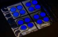 UDC will mass produce blue phosphorescent OLED next year
