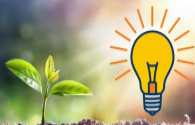 Why is the red and blue LED lighting ineffective for plants
