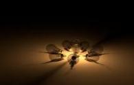 Will LED bulbs burn out?