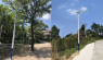 66 Solar Orchid-Style Streetlights Installed in Zhenzhu Village, Wengyuan County, Shaoguan, Guangdong