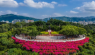 Denggaoshan Park Lighting Project in Meichuan Town, Huanggang City, Hubei Province