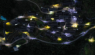 Lighting Renovation and Upgrade in Xinkengshui Village, Dalong Subdistrict, Panyu District, Guangzhou