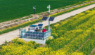Six Sensor-Activated Lights Illuminate Guliku Forest Farm in Heilongjiang