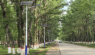 Streetlights Renovated in Kedala City, Xinjiang